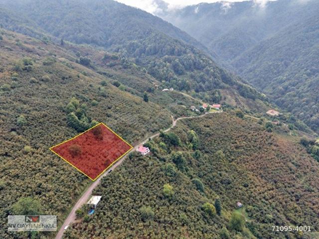 Düzce Merkez, Düzce içerisinde satılık Arsa