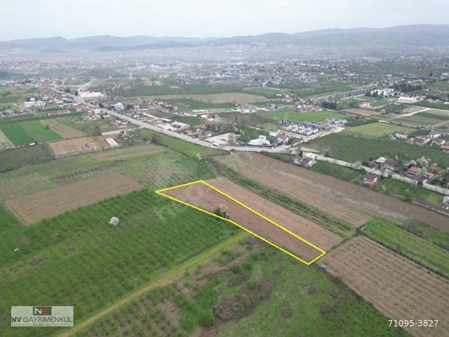Düzce Merkez, Düzce içerisinde satılık Arsa