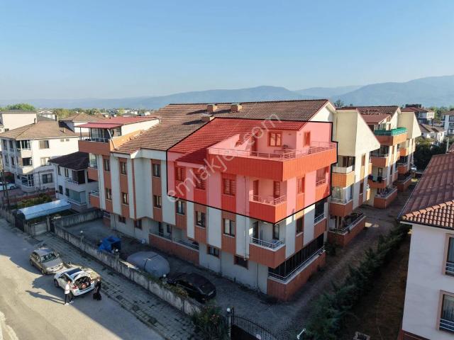 Düzce Merkez, Düzce içerisinde kiralık mülk