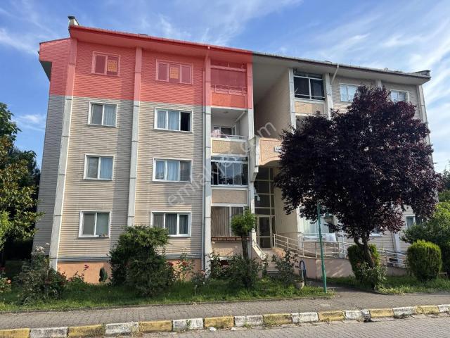 Düzce Merkez, Düzce içerisinde kiralık mülk