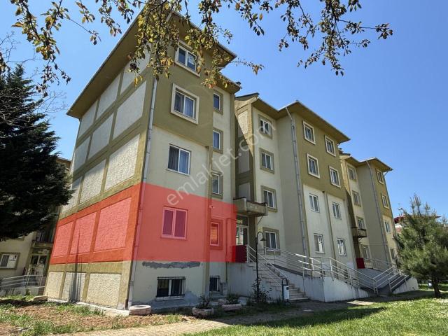 Düzce Merkez, Düzce içerisinde kiralık mülk