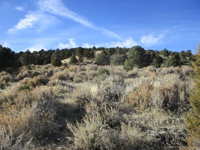 Land for sale in Pioche, Nevada