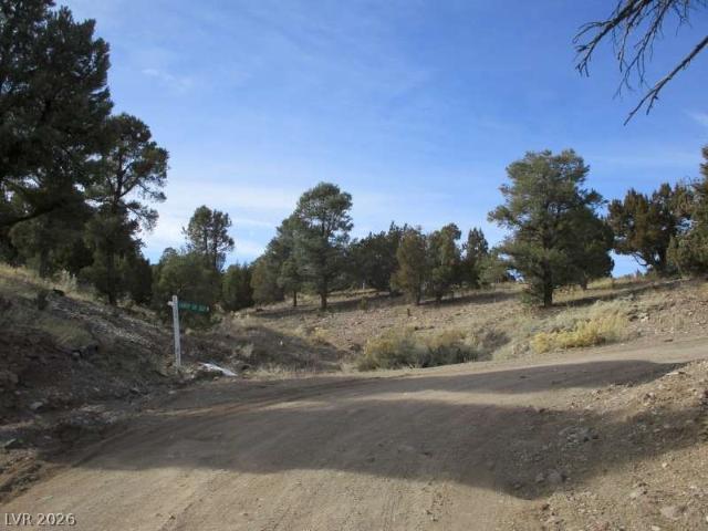 Land for sale in Pioche, Nevada
