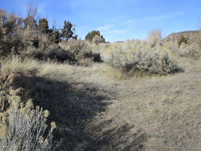 Land for sale in Pioche, Nevada