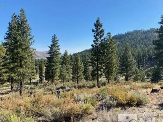 Land for sale in Nevada
