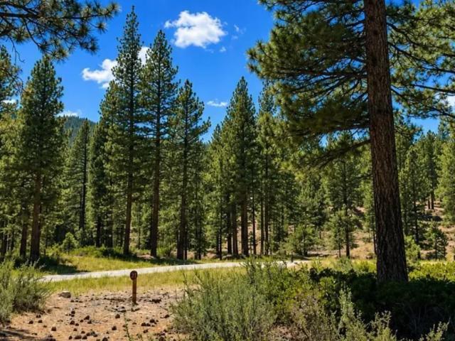 Land for sale in Nevada