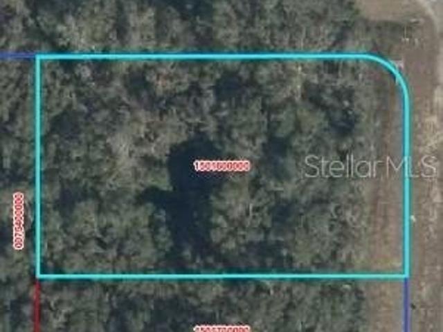 Land for sale in Chiefland, Levy County