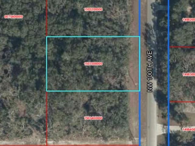 Land for sale in Chiefland, Florida