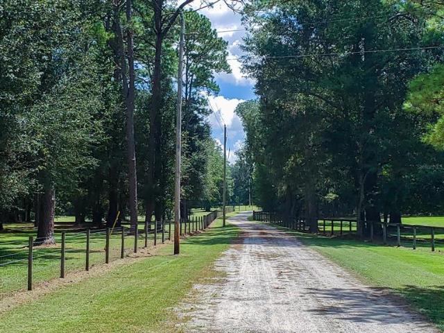 Land for sale in Reddick, Florida