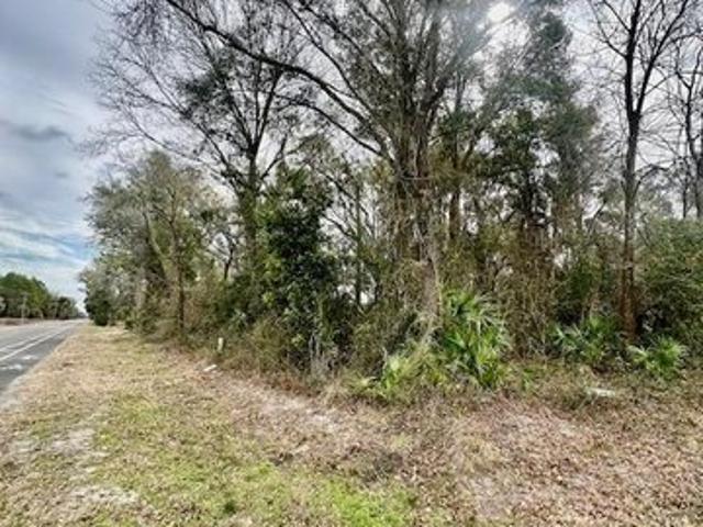 Land for sale in Chiefland, Florida