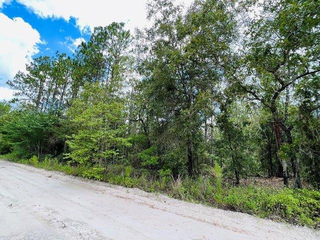 Land for sale in Bell, Florida