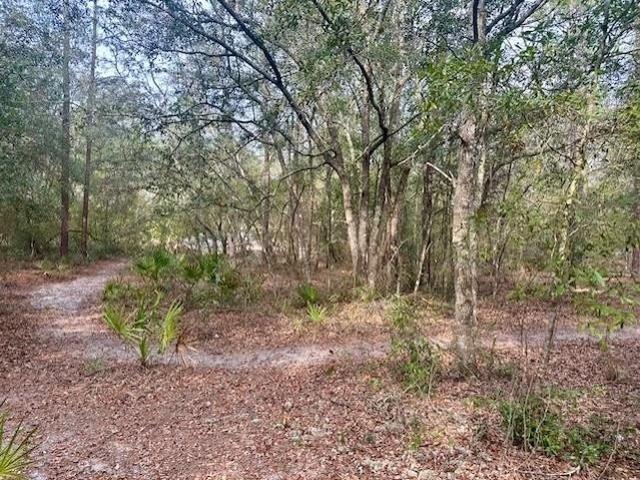 Land for sale in Bell, Florida