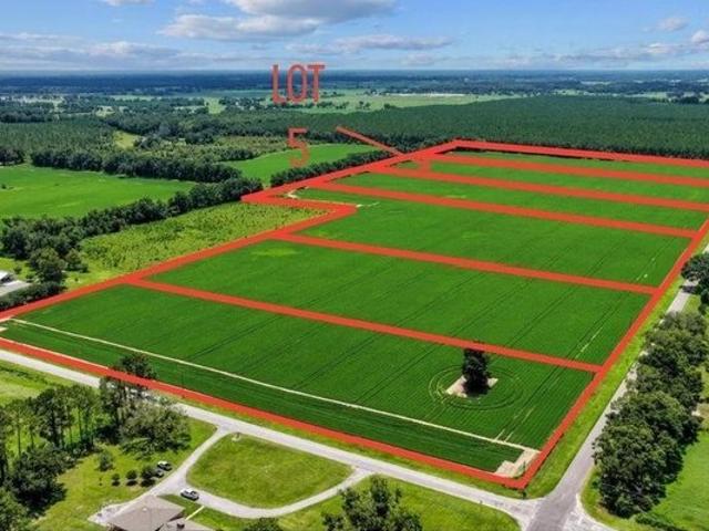 Land for sale in Chiefland, Levy County