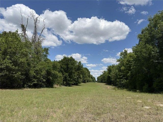 Land for sale in Chiefland, Florida