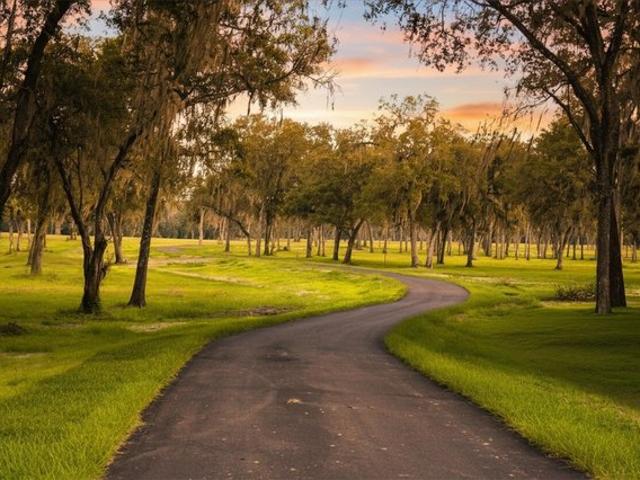 Land for sale in Reddick, Florida