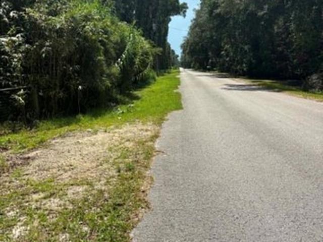 Land for sale in Trenton, Florida