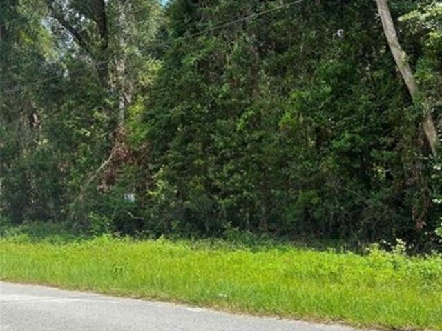 Land for sale in Trenton, Florida