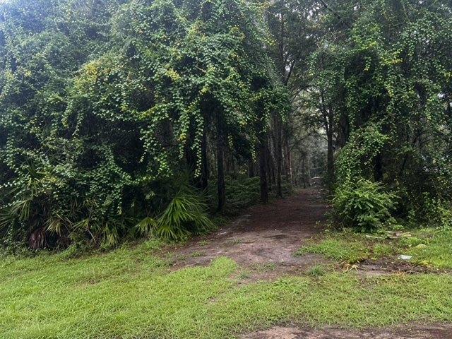 Land for sale in Trenton, Florida