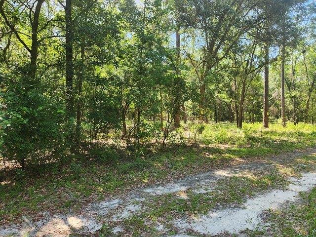 Land for sale in Jasper, Florida