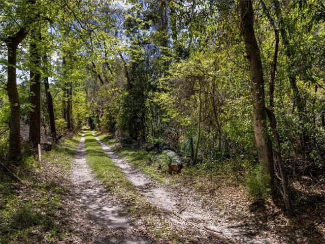 Land for sale in High Springs, Florida