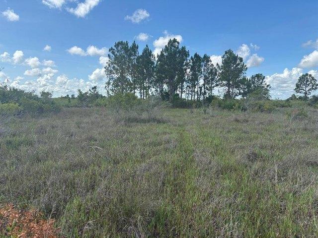 Land for sale in Okeechobee, Florida