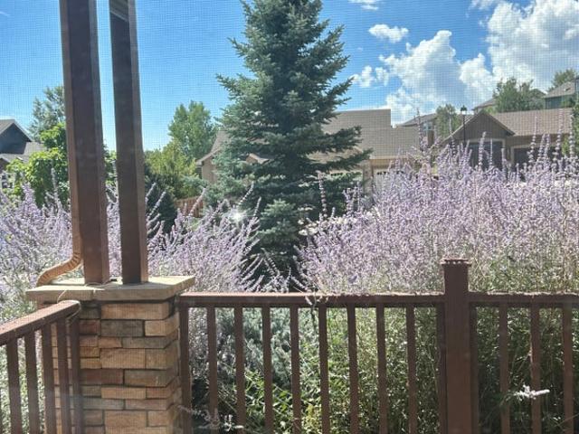 Room for rent in Colorado Springs, Colorado