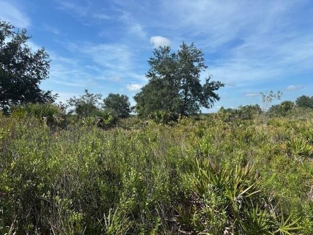 Land for sale in Okeechobee, Florida