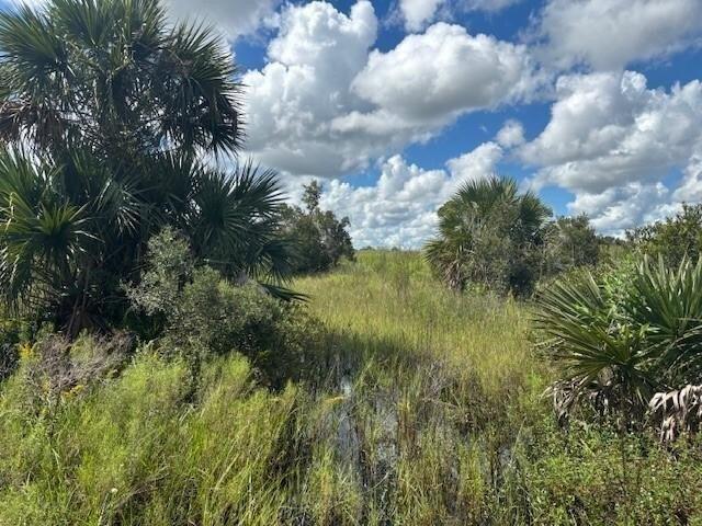 Land for sale in Okeechobee, Florida