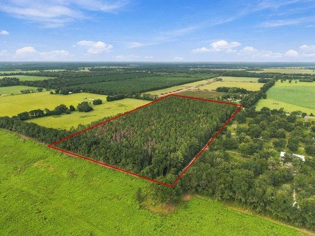 Land for sale in Trenton, Gilchrist County