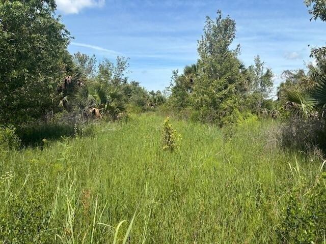 Land for sale in Okeechobee, Florida