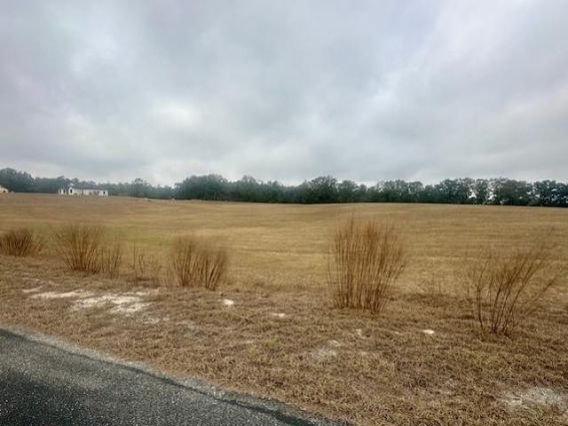 Land for sale in Bell, Florida