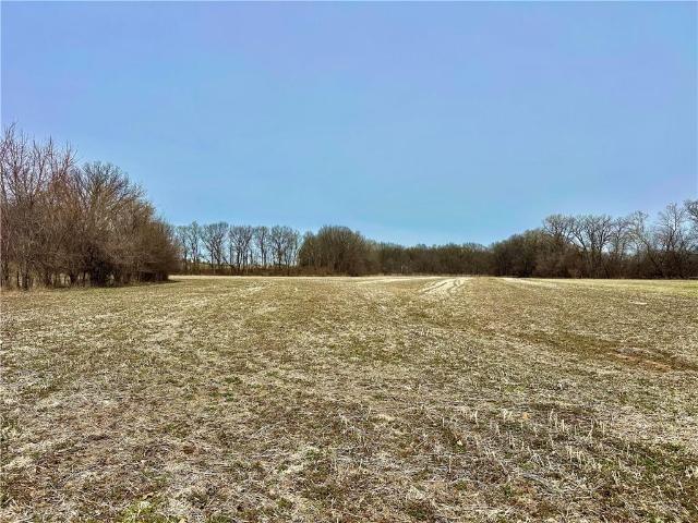Farm for sale in Chilhowee, Missouri