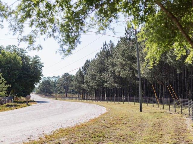 Land for sale in Bell, Florida