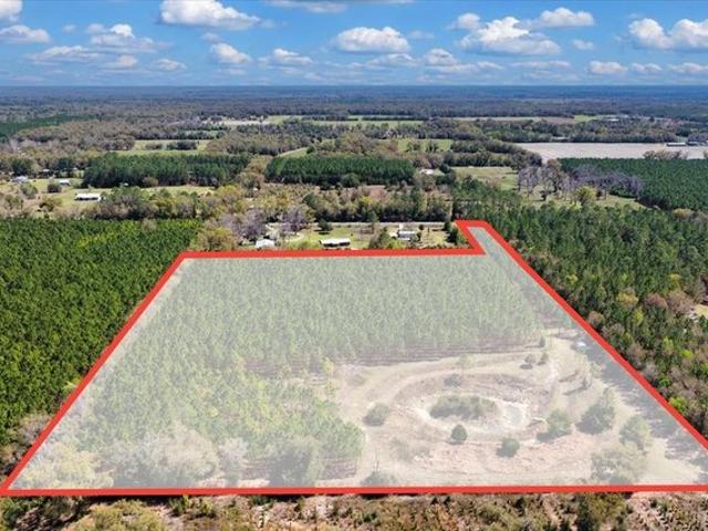 Land for sale in Chiefland, Florida