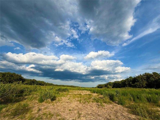 Land for sale in Chiefland, Florida