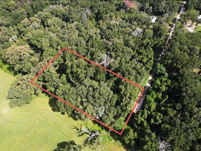 Land for sale in Trenton, Florida