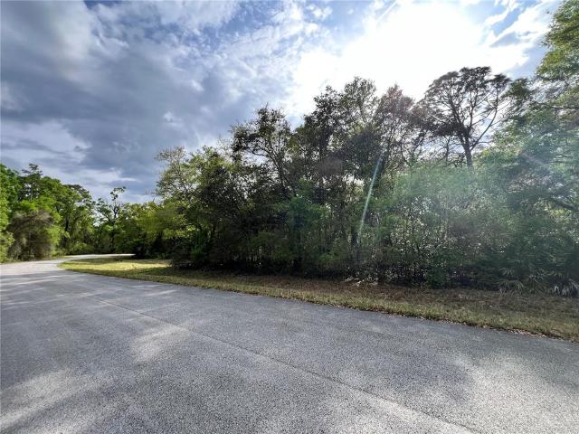 Land for sale in Chiefland, Florida