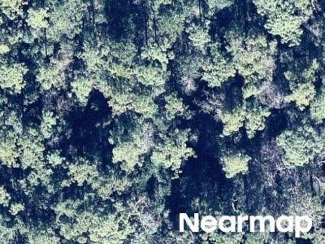 Land for sale in Florida