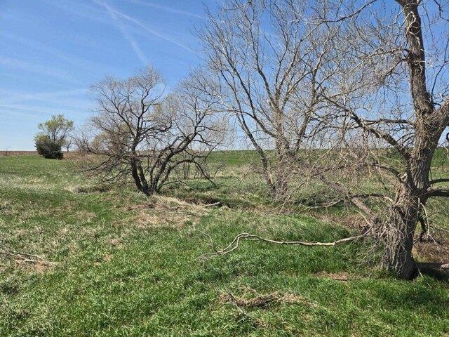 Land for sale in Olmitz Land for sale in Olmitz