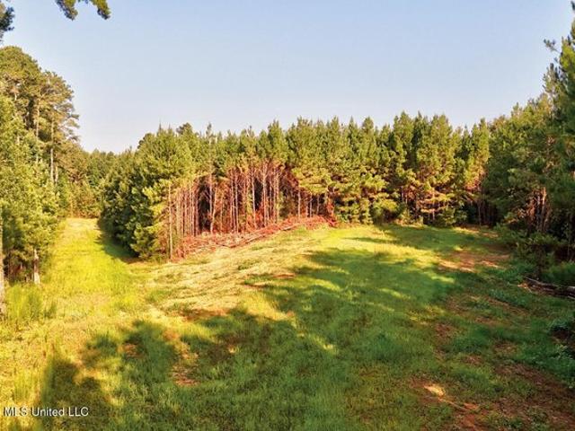 Land for sale in Roxie, Mississippi