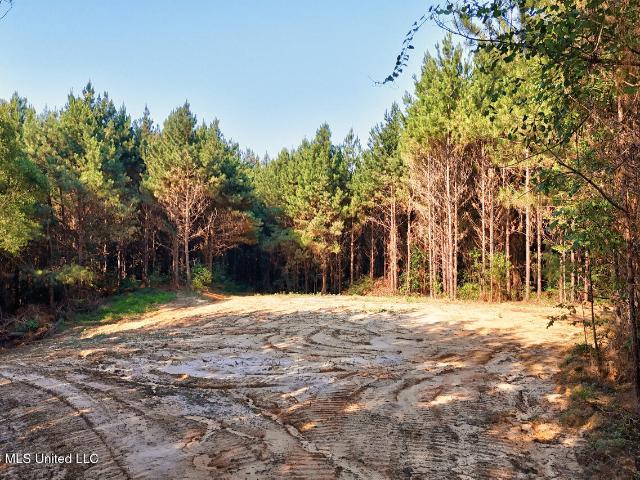Land for sale in Roxie, Franklin County