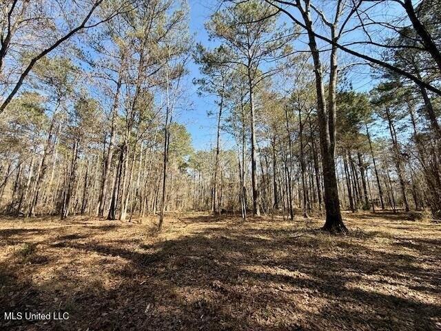 Land for sale in Bogue Chitto, Mississippi