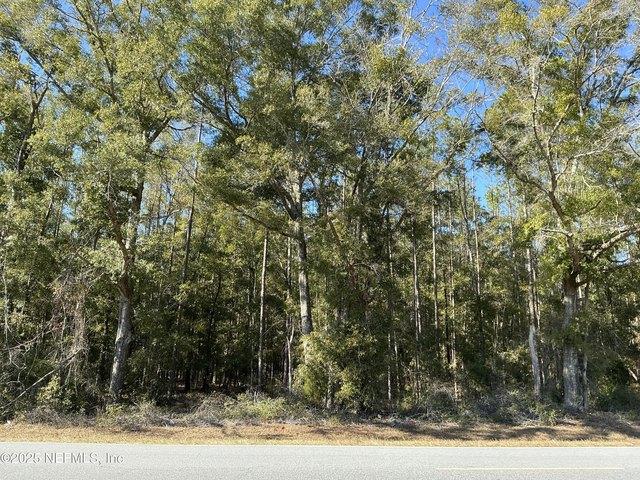 Land for sale in Bell, Florida