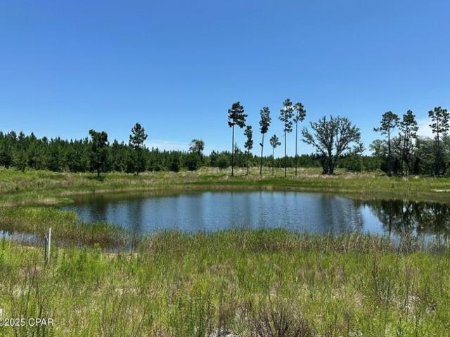 Land for sale in Altha