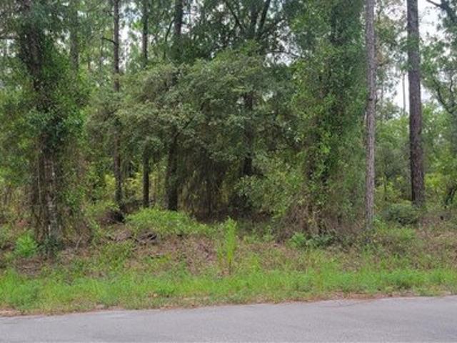 Land for sale in Dunnellon, Florida