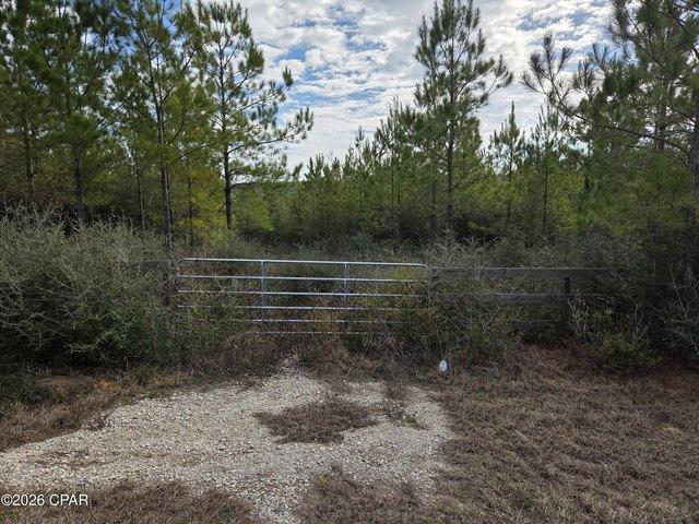 Land for sale in Altha, Florida