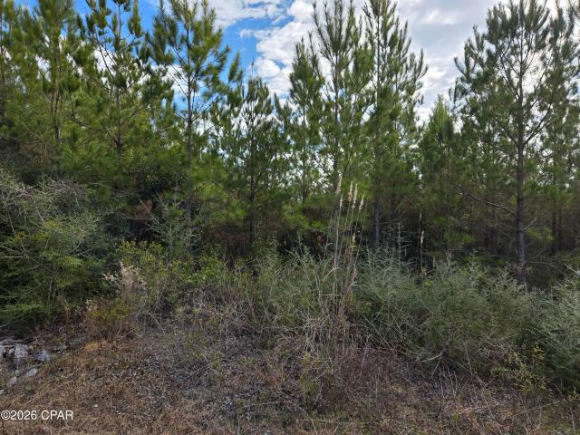 Property for sale in Altha, Florida
