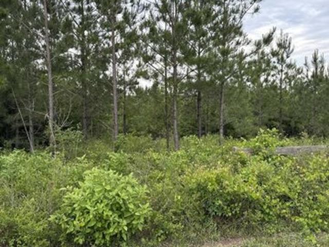 Land for sale in Altha