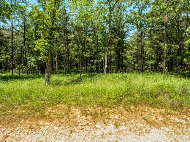 Land for sale in Sawyer