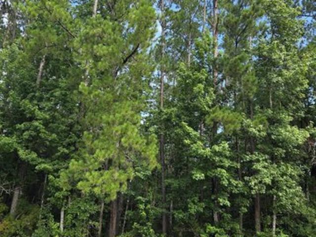 Land for sale in Bristol, Florida